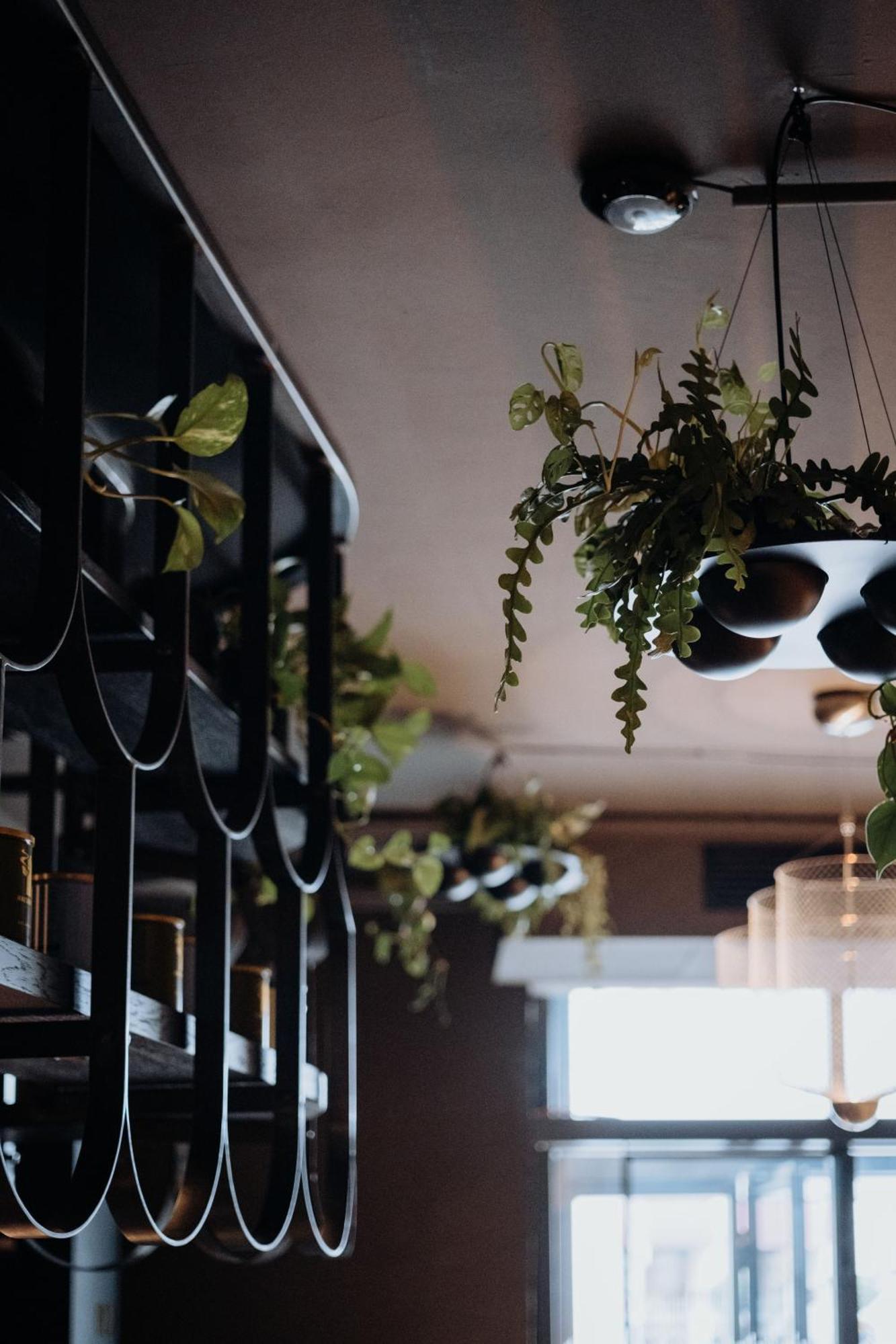 Gentle Hide Designhotel Salzburg Exterior photo